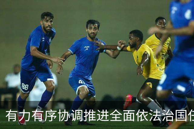 有力有序协调推进全面依法治国任务落实（权威发布·开局起步“十五五”）